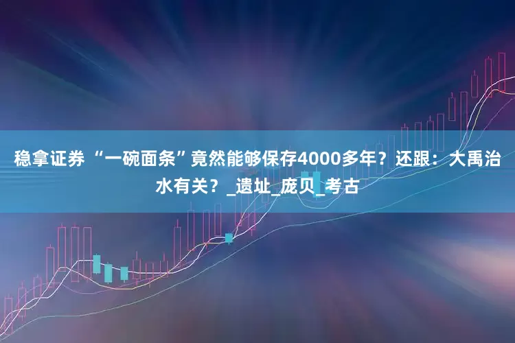 稳拿证券 “一碗面条”竟然能够保存4000多年？还跟：大禹治水有关？_遗址_庞贝_考古