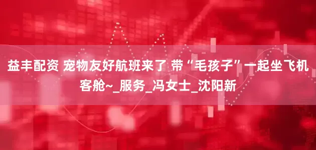 益丰配资 宠物友好航班来了 带“毛孩子”一起坐飞机客舱~_服务_冯女士_沈阳新