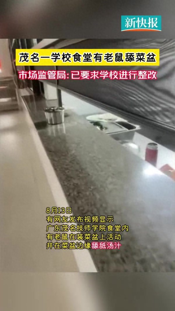 创同配资 茂名一学校食堂出现老鼠舔菜盆